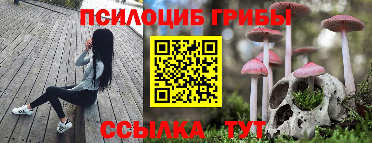 Галлюциногенные грибы MAGIC MUSHROOMS  Вход с VPN  Мариинск  продажа наркотиков  Галлюциногенные грибы ЛСД 
